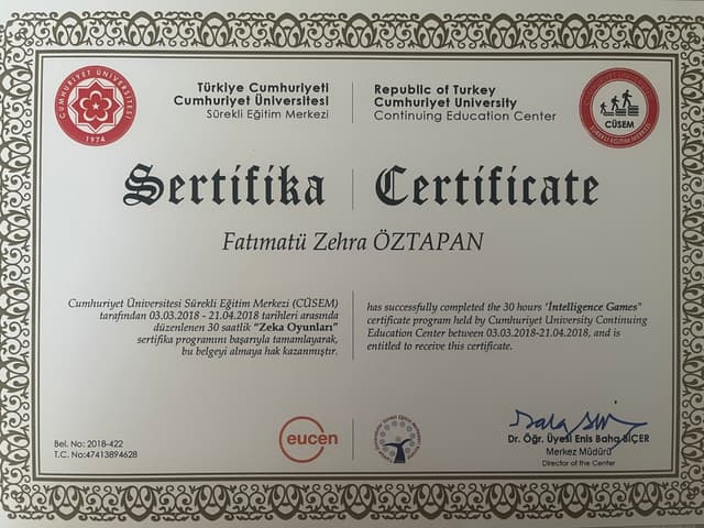 Zeka Oyunları